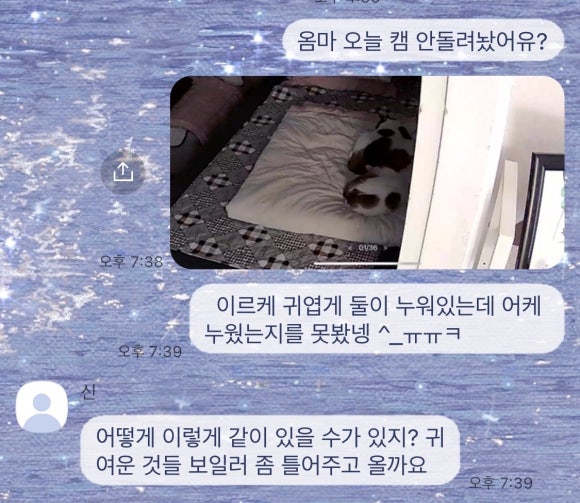 또오옥 이미지