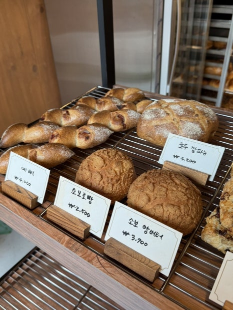 지음당 이미지