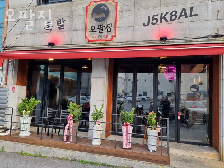 오팔집 이미지
