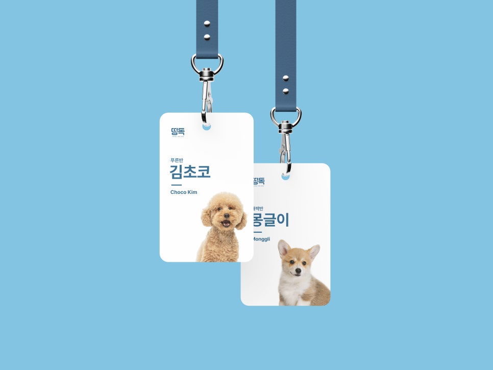 숨고DM 이미지