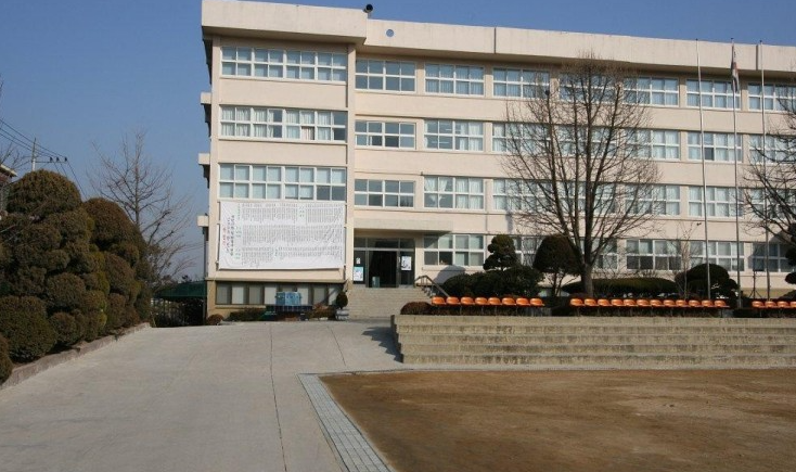 화곡보건경영고등학교 이미지
