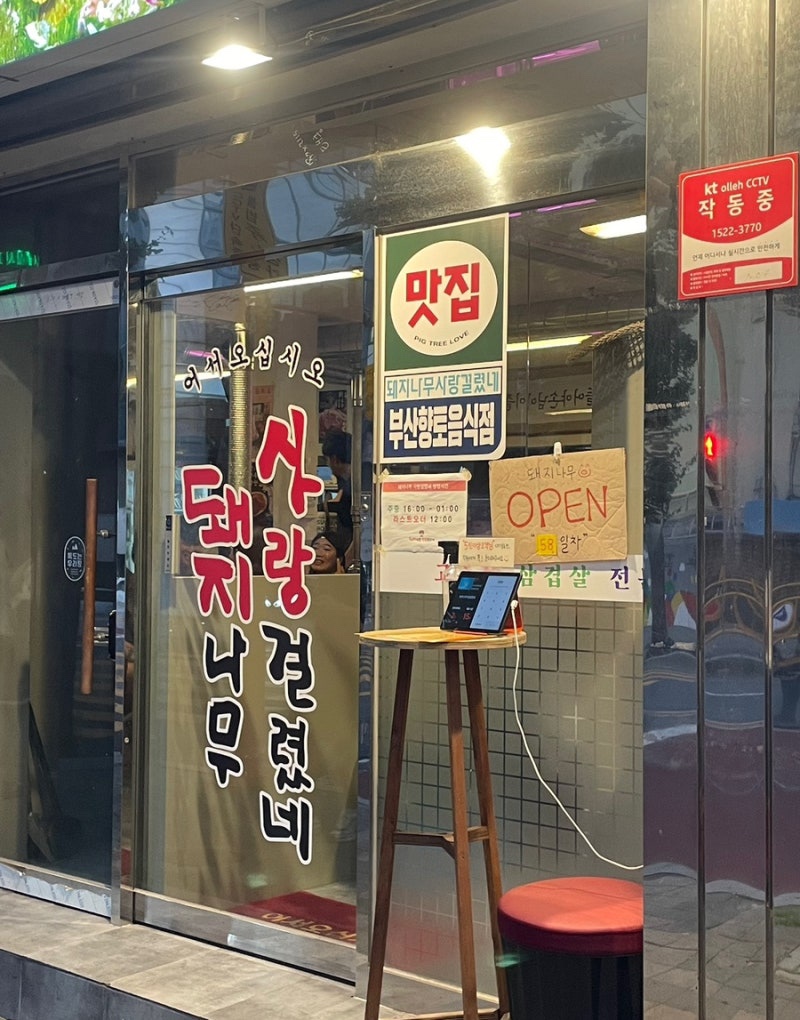 돼지사랑 이미지