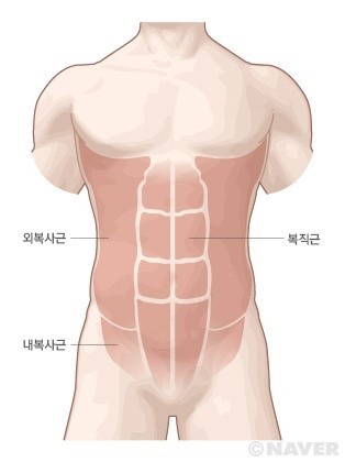 반반피트니스 이미지