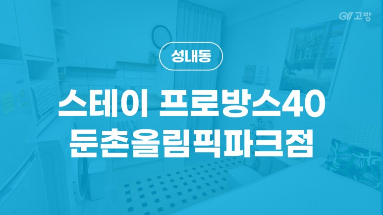 스테이프로방스40 이미지
