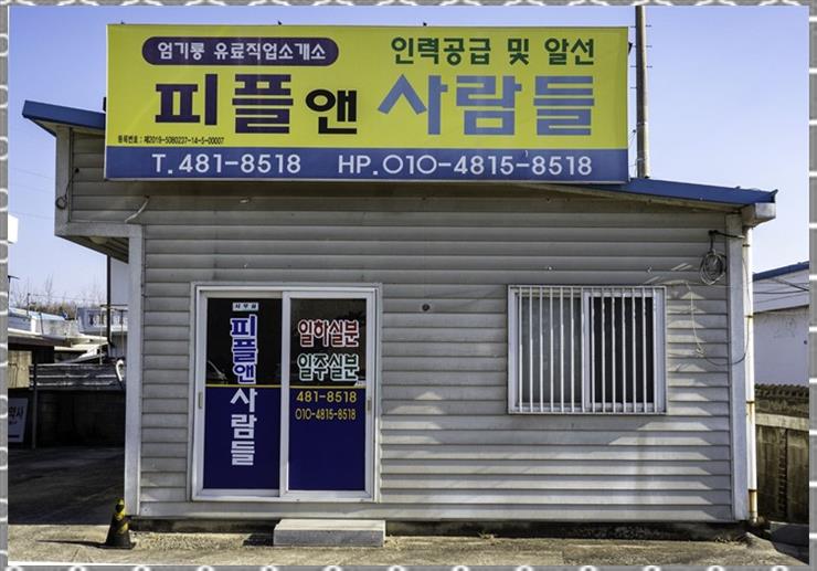 성실 인력직업소개소 이미지