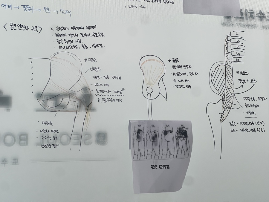서울본의원 이미지