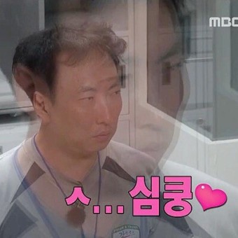 파보내 이미지