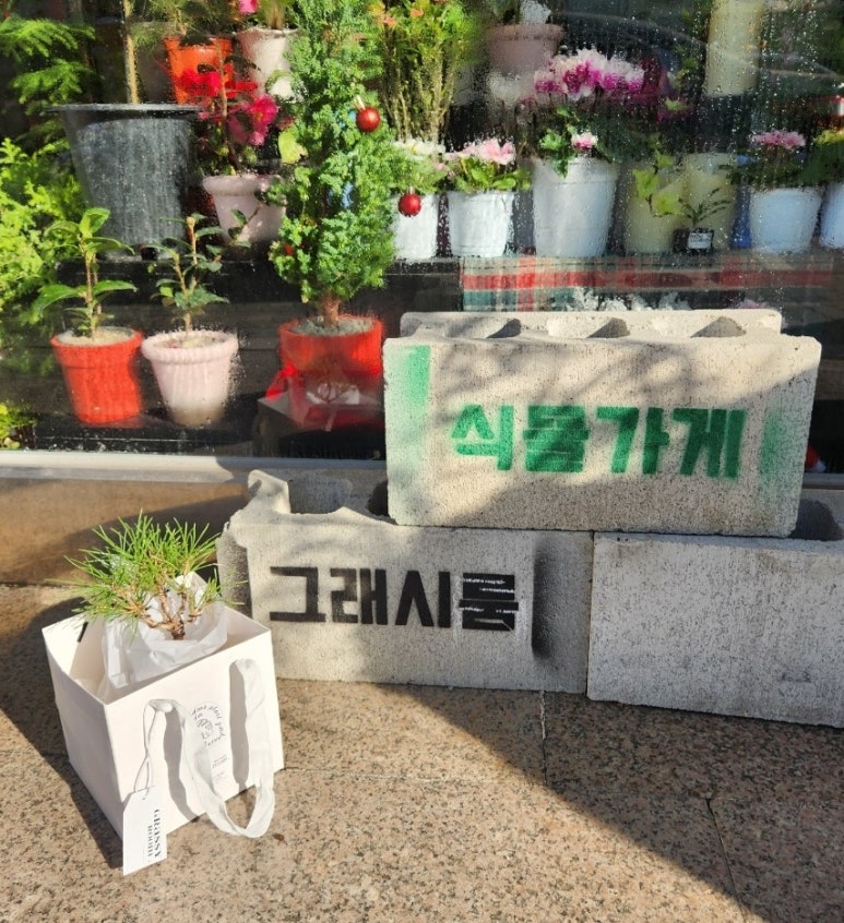 그래시룸 이미지