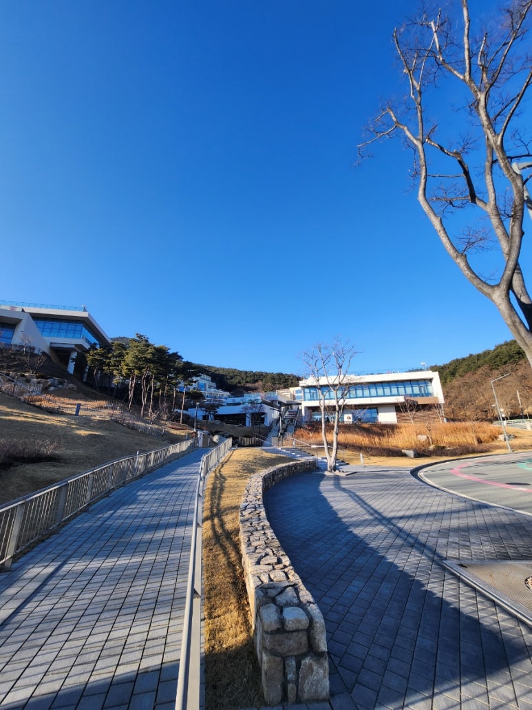 평화인력센터 이미지