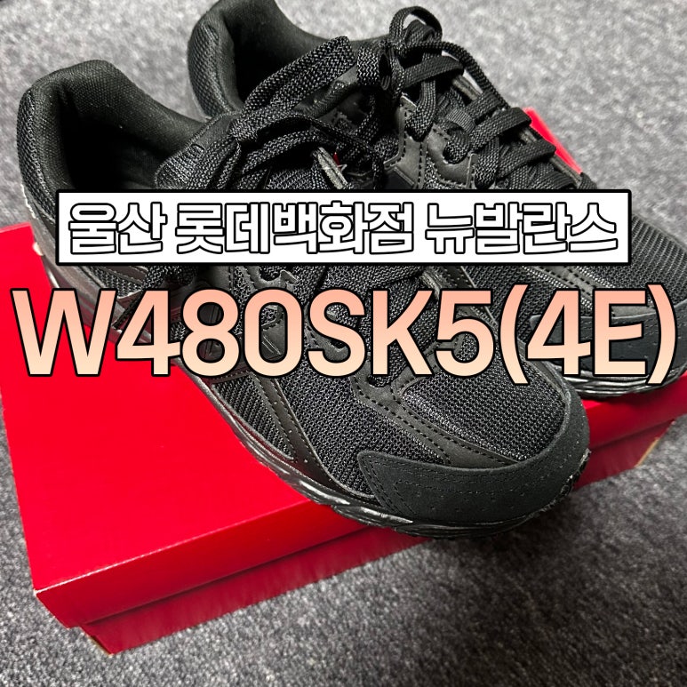 롯데울산뉴발란스 이미지