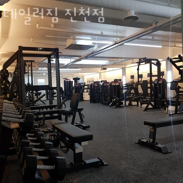 테일러짐 이미지