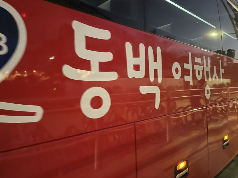 동백관광여행사 이미지