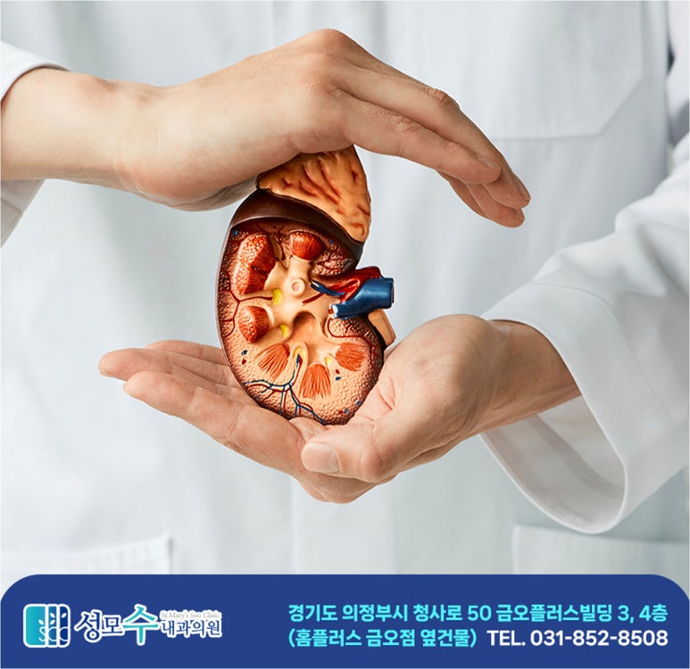 성모수내과 이미지