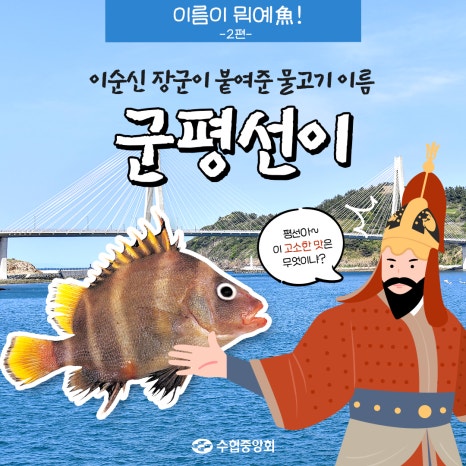 경남가리비수하식수산업협동조합 이미지