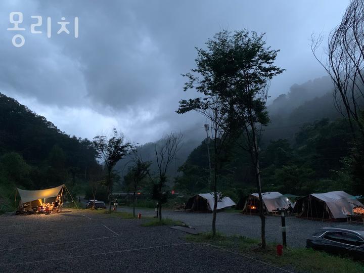 몽리치 이미지