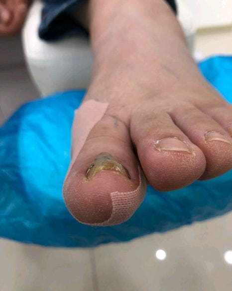 보람스카이 이미지