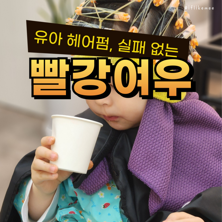 빨강여우 이미지
