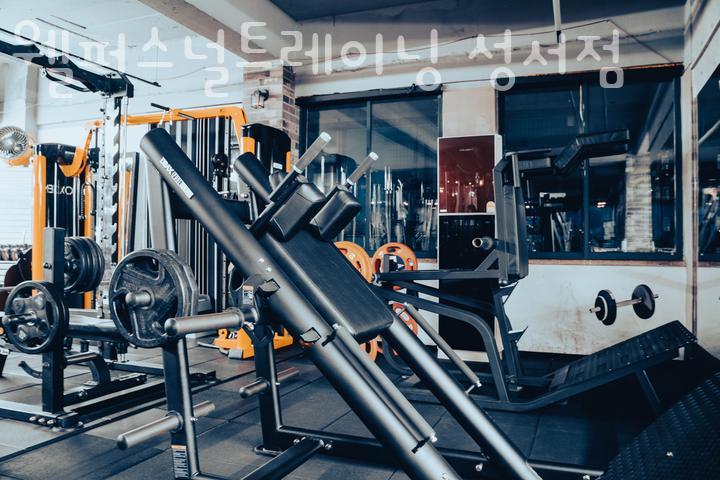 웰퍼스널트레이닝 이미지