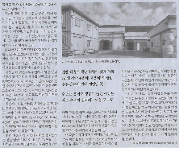 서해꽃게 이미지