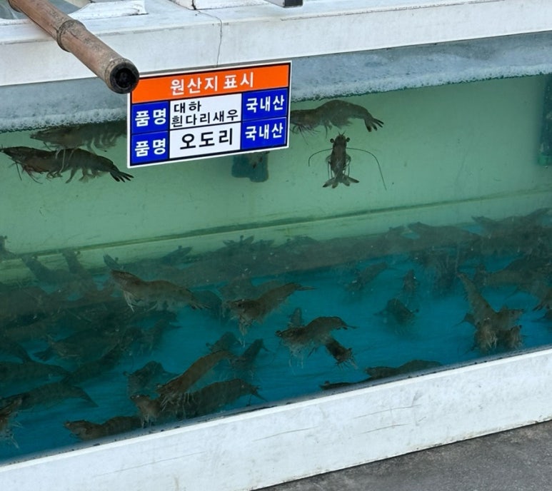 신명오도리마을 이미지