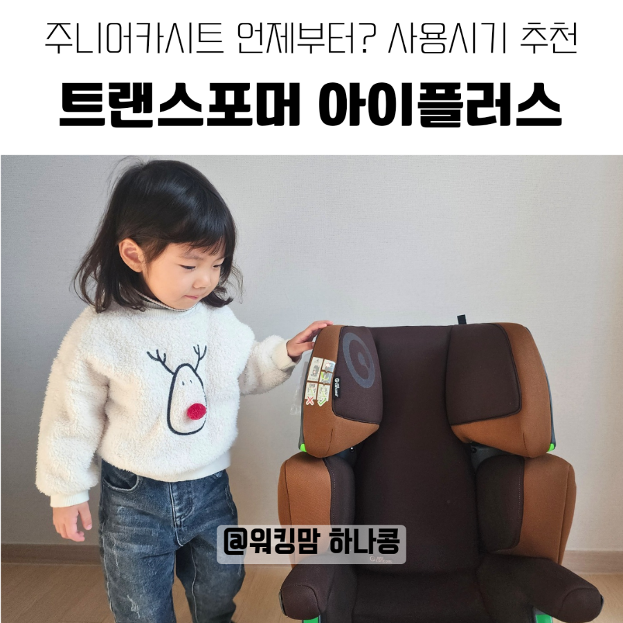 하나콩 이미지