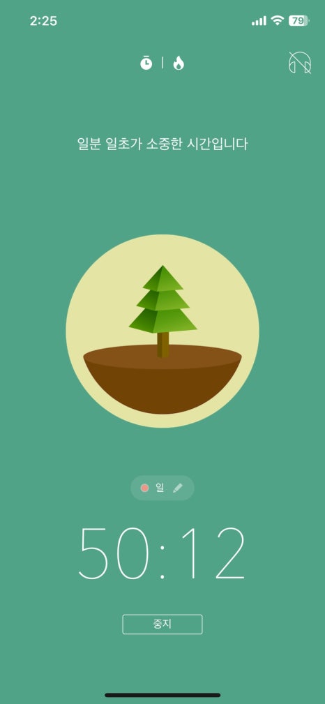 포레스트(forest) 이미지