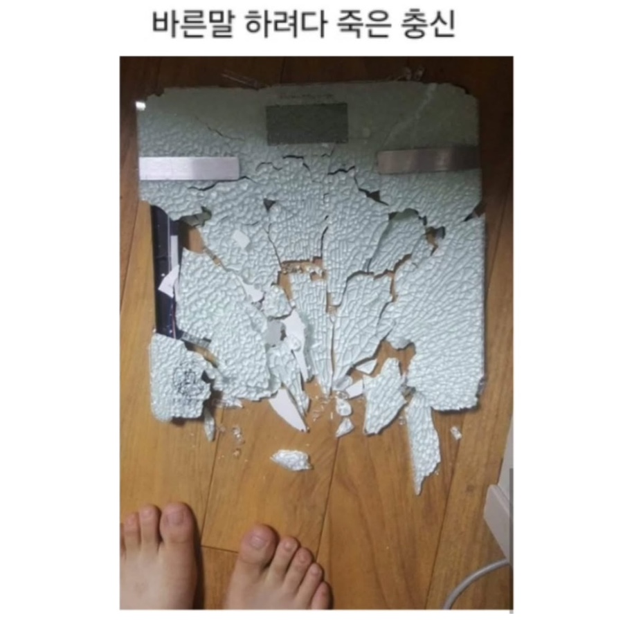 원데이피티 이미지