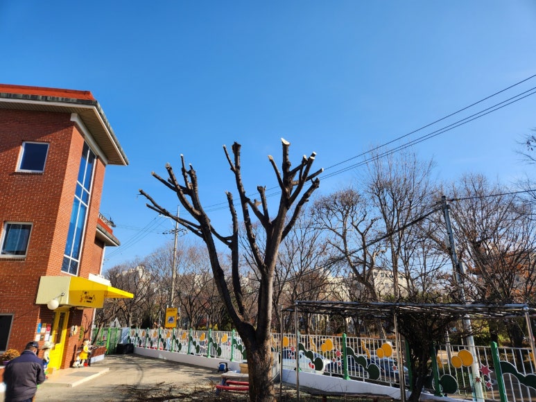 성용조경 이미지
