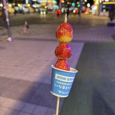 달콤왕가탕후루송도학원가점 이미지