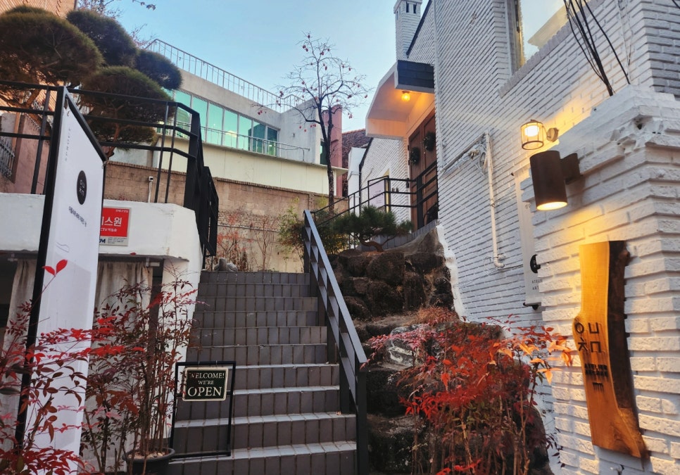 페페로미 이미지