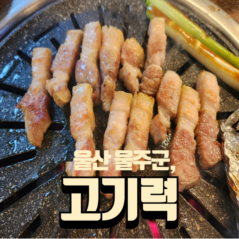 고기력 이미지