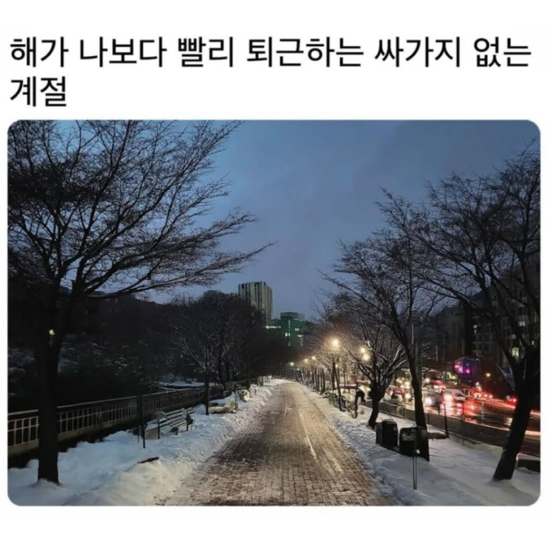 크크 이미지