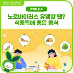 노로바이러스 유행할 땐?☃️겨울 식중독에 좋은 음식(녹두, 생강, 감자, 양배추) 바로가기