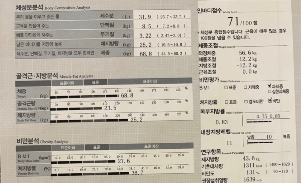 바디에딕트 이미지
