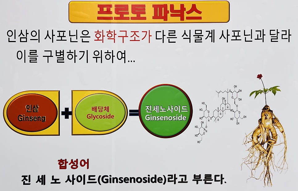 파낙스바이오 이미지