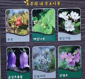 우리 행초 이미지