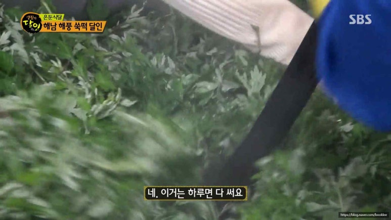 매일떡방앗간 이미지