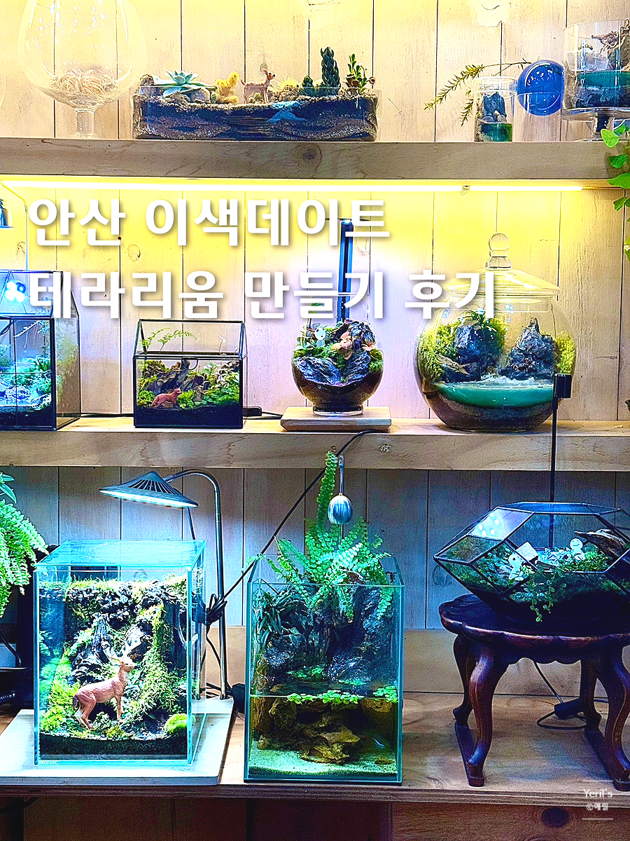 이끼창작스튜디오 이미지