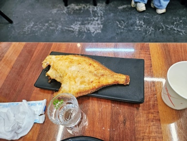 물고기412 이미지