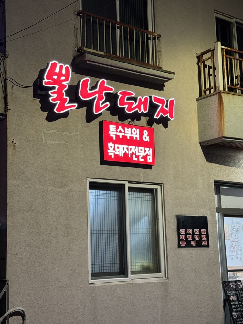 뿔난돼지 이미지