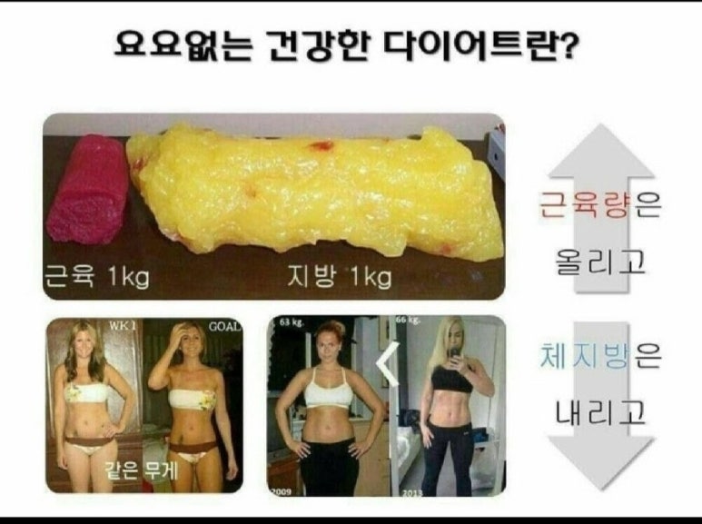 다빼드림 이미지