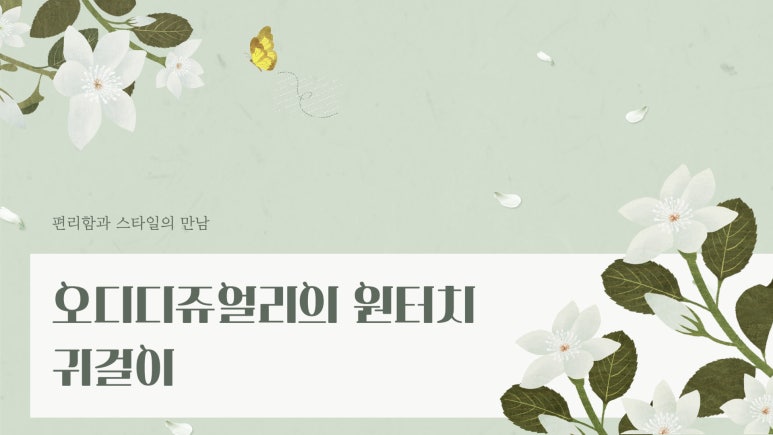 오디디 이미지