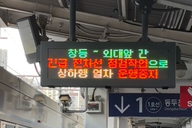 여기오면돈돼지 이미지