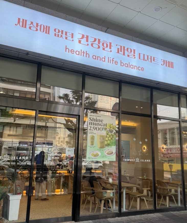 트로피티아일랜드대구 이미지