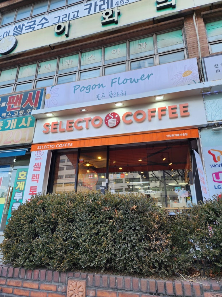 셀렉토안양 이미지