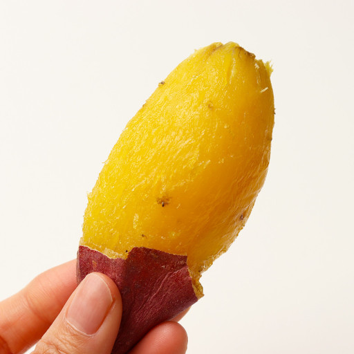 더원짐대치 이미지