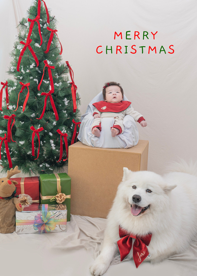 사파리사진관청주점 이미지