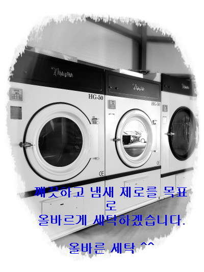 올바른세탁 이미지