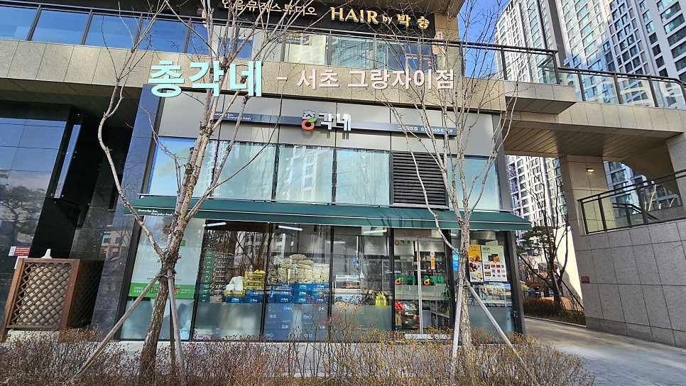 총각네강남 이미지