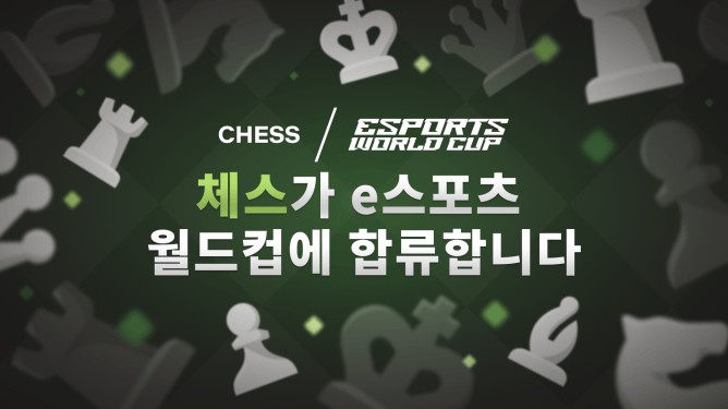 뉴체스 이미지